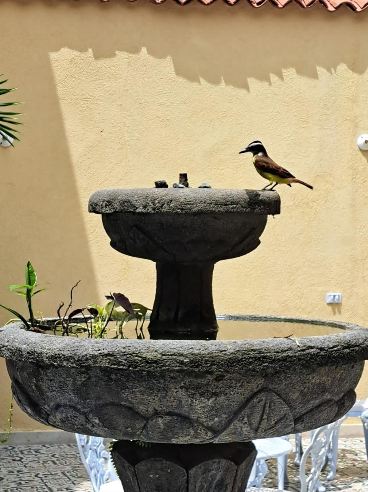 Casa Sileo - Boutique Hotel 卡利 外观 照片