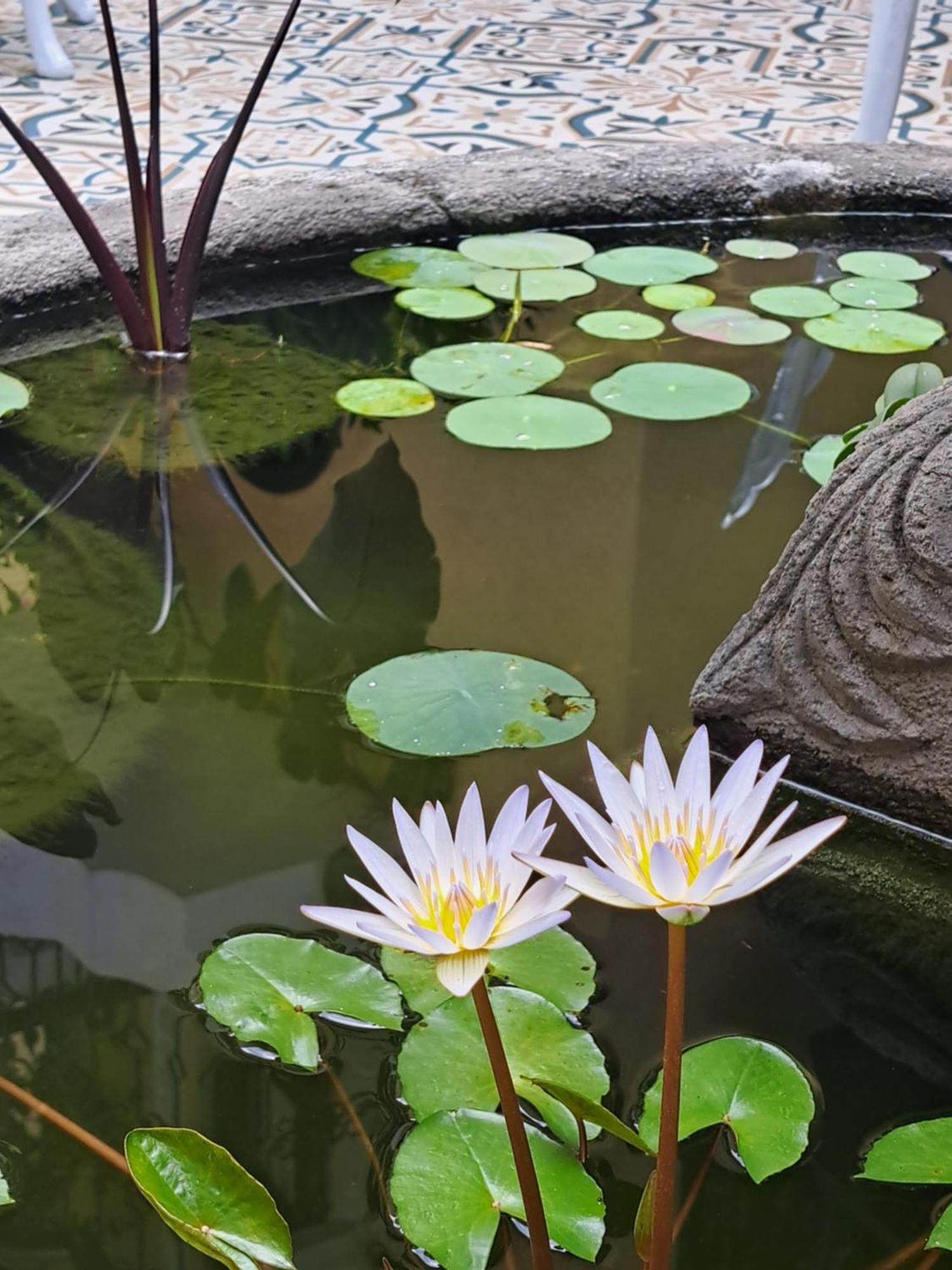 Casa Sileo - Boutique Hotel 卡利 外观 照片